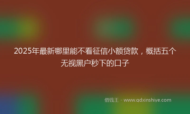 2025年最新哪里能不看征信小额贷款，概括五个无视黑户秒下的口子