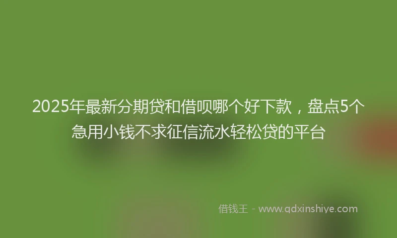2025年最新分期贷和借呗哪个好下款，盘点5个急用小钱不求征信流水轻松贷的平台