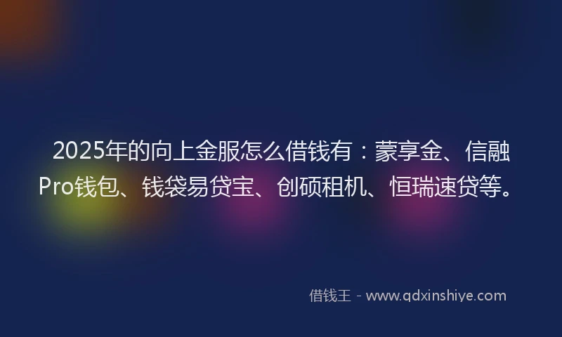2025年的向上金服怎么借钱有：蒙享金、信融Pro钱包、钱袋易贷宝、创硕租机、恒瑞速贷等。