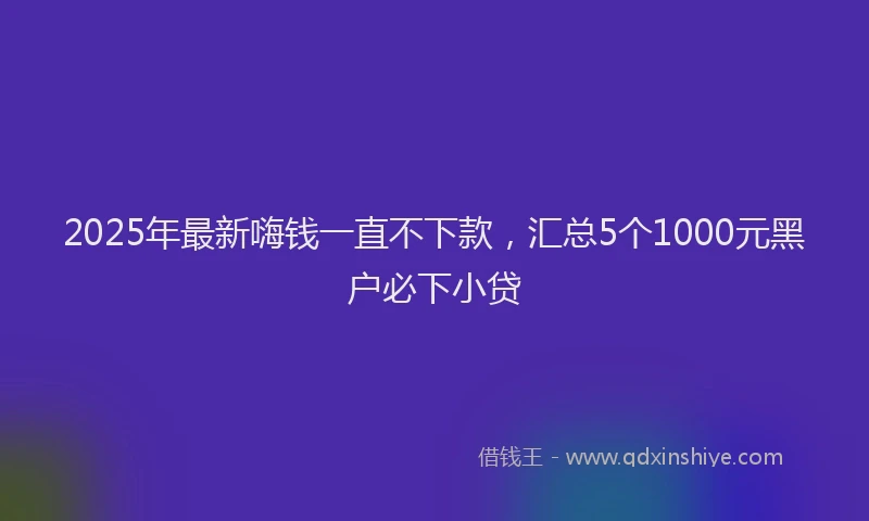 2025年最新嗨钱一直不下款，汇总5个1000元黑户必下小贷