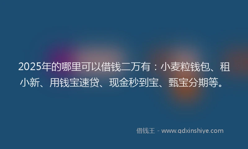 2025年的哪里可以借钱二万有：小麦粒钱包、租小新、用钱宝速贷、现金秒到宝、甄宝分期等。
