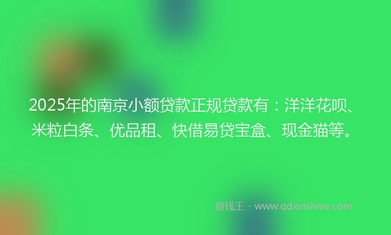 2025年的南京小额贷款正规贷款有：洋洋花呗、米粒白条、优品租、快借易贷宝盒、现金猫等。