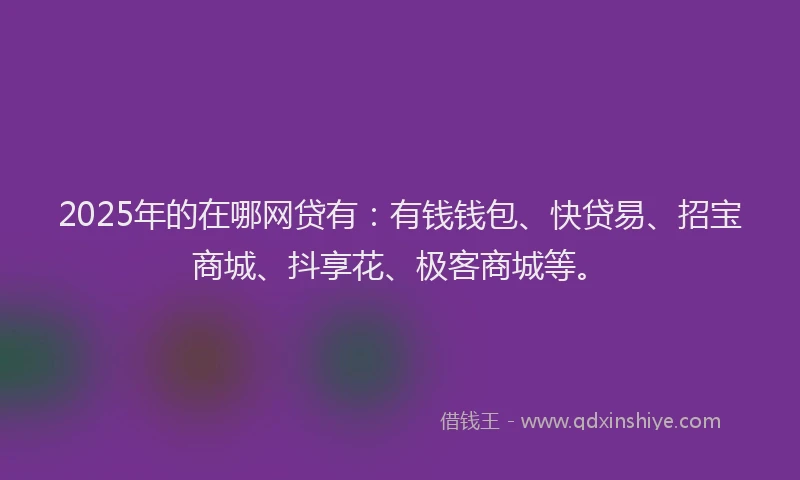 2025年的在哪网贷有：有钱钱包、快贷易、招宝商城、抖享花、极客商城等。