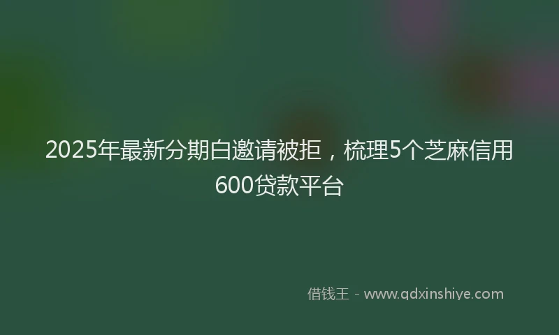 2025年最新分期白邀请被拒，梳理5个芝麻信用600贷款平台