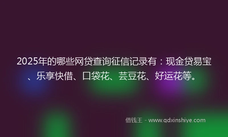 2025年的哪些网贷查询征信记录有：现金贷易宝、乐享快借、口袋花、芸豆花、好运花等。