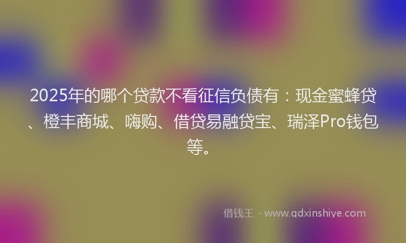2025年的哪个贷款不看征信负债有：现金蜜蜂贷、橙丰商城、嗨购、借贷易融贷宝、瑞泽Pro钱包等。