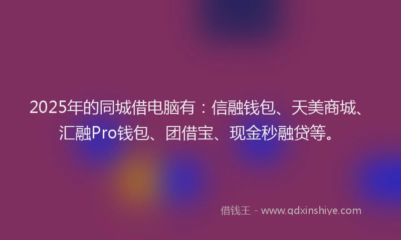 2025年的同城借电脑有：信融钱包、天美商城、汇融Pro钱包、团借宝、现金秒融贷等。