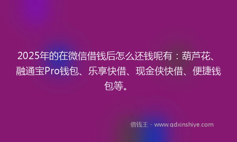 2025年的在微信借钱后怎么还钱呢有：葫芦花、融通宝Pro钱包、乐享快借、现金侠快借、便捷钱包等。