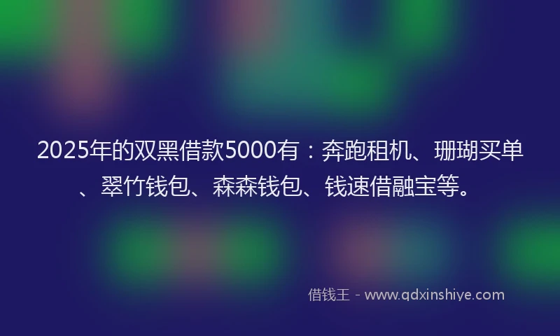 2025年的双黑借款5000有：奔跑租机、珊瑚买单、翠竹钱包、森森钱包、钱速借融宝等。