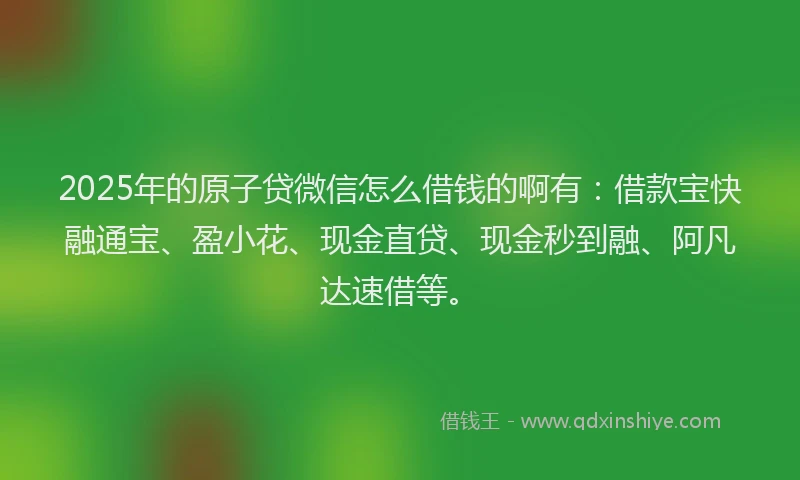 2025年的原子贷微信怎么借钱的啊有：借款宝快融通宝、盈小花、现金直贷、现金秒到融、阿凡达速借等。