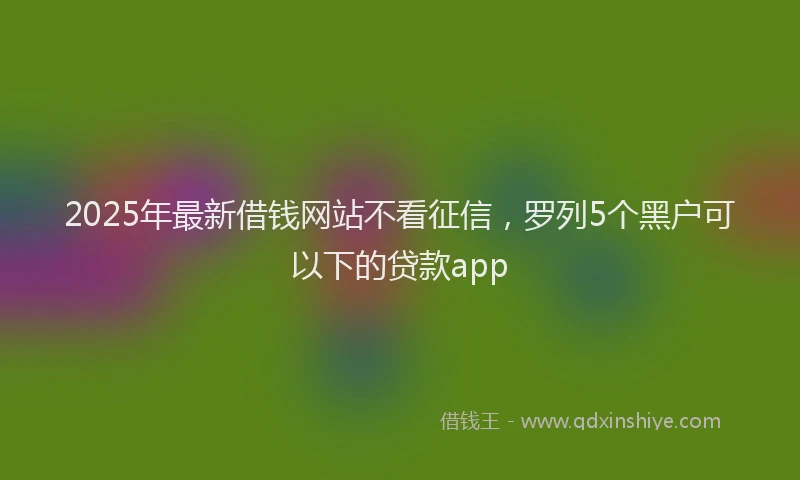 2025年最新借钱网站不看征信，罗列5个黑户可以下的贷款app