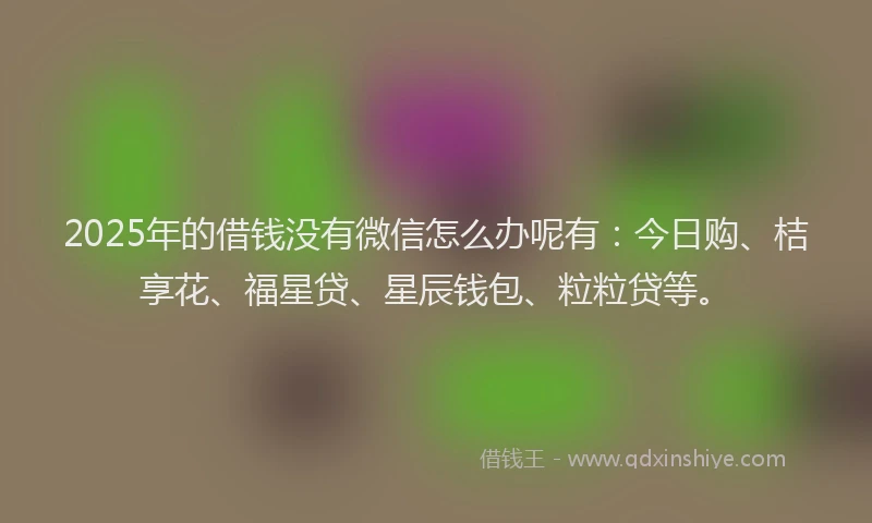 2025年的借钱没有微信怎么办呢有：今日购、桔享花、福星贷、星辰钱包、粒粒贷等。