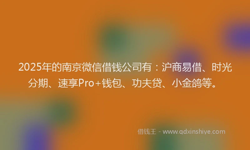 2025年的南京微信借钱公司有：沪商易借、时光分期、速享Pro+钱包、功夫贷、小金鸽等。