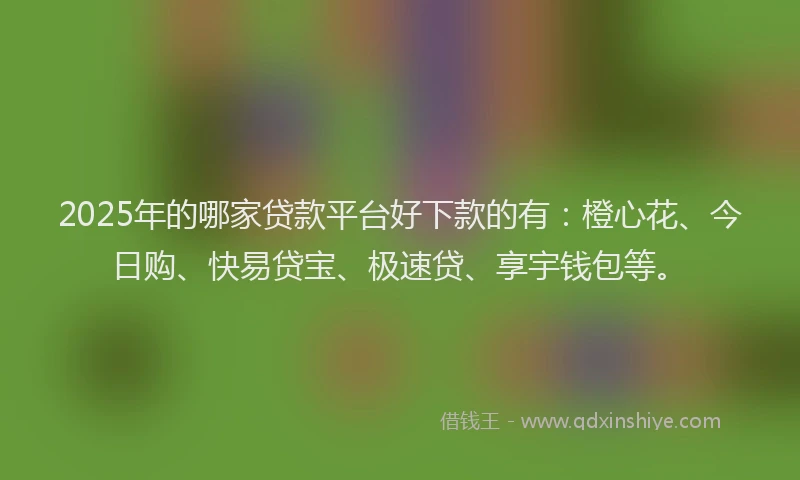 2025年的哪家贷款平台好下款的有：橙心花、今日购、快易贷宝、极速贷、享宇钱包等。