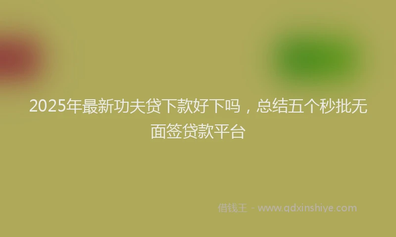 2025年最新功夫贷下款好下吗，总结五个秒批无面签贷款平台