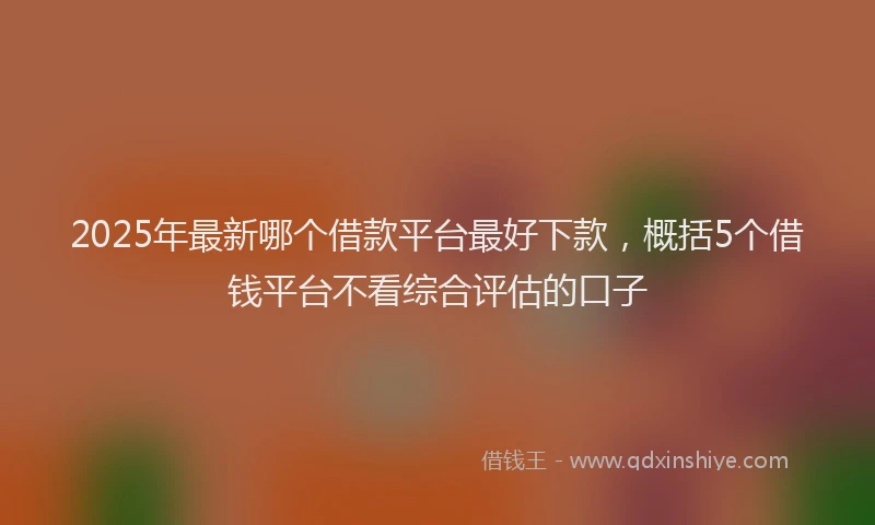 2025年最新哪个借款平台最好下款，概括5个借钱平台不看综合评估的口子