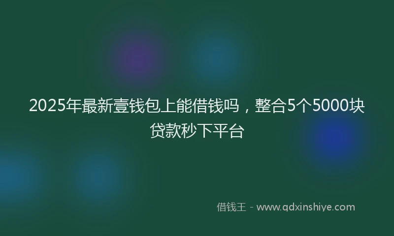 2025年最新壹钱包上能借钱吗，整合5个5000块贷款秒下平台