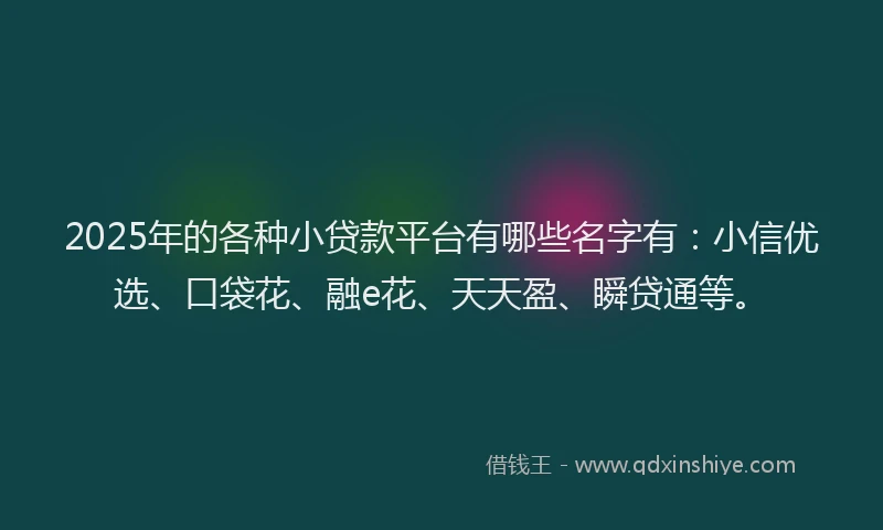 2025年的各种小贷款平台有哪些名字有：小信优选、口袋花、融e花、天天盈、瞬贷通等。