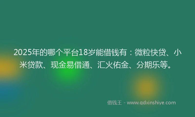 2025年的哪个平台18岁能借钱有：微粒快贷、小米贷款、现金易借通、汇火佑金、分期乐等。