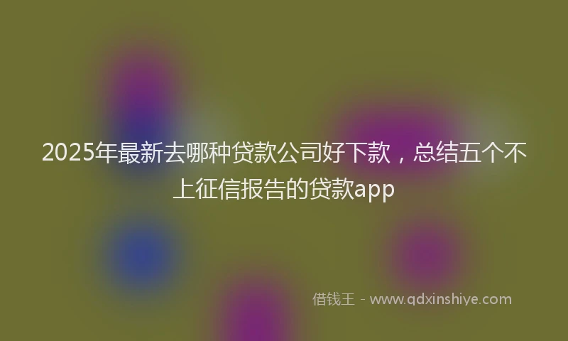 2025年最新去哪种贷款公司好下款，总结五个不上征信报告的贷款app