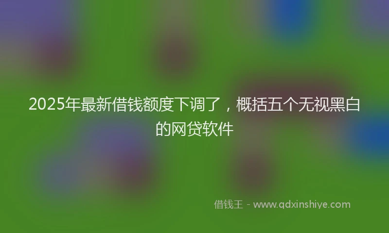 2025年最新借钱额度下调了，概括五个无视黑白的网贷软件