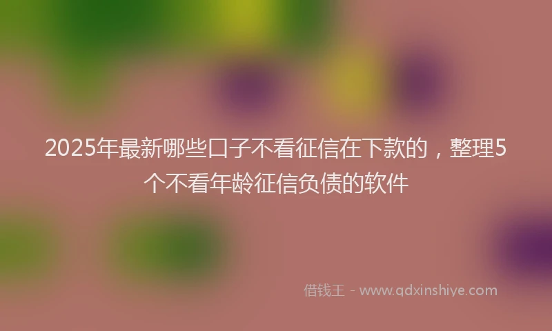 2025年最新哪些口子不看征信在下款的，整理5个不看年龄征信负债的软件