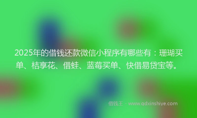 2025年的借钱还款微信小程序有哪些有：珊瑚买单、桔享花、借蛙、蓝莓买单、快借易贷宝等。