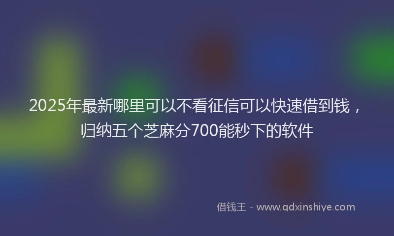 2025年最新哪里可以不看征信可以快速借到钱，归纳五个芝麻分700能秒下的软件