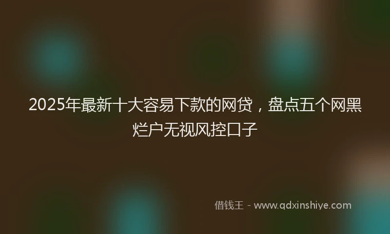2025年最新十大容易下款的网贷，盘点五个网黑烂户无视风控口子
