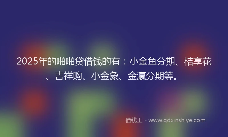 2025年的啪啪贷借钱的有：小金鱼分期、桔享花、吉祥购、小金象、金瀛分期等。