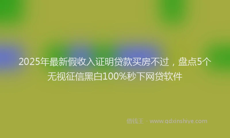2025年最新假收入证明贷款买房不过，盘点5个无视征信黑白100%秒下网贷软件