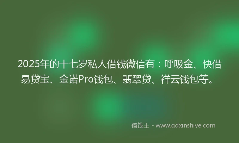 2025年的十七岁私人借钱微信有：呼吸金、快借易贷宝、金诺Pro钱包、翡翠贷、祥云钱包等。
