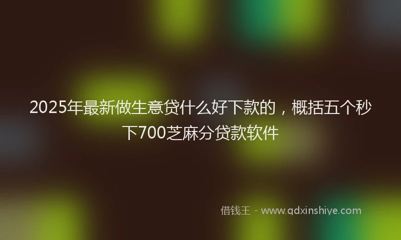 2025年最新做生意贷什么好下款的，概括五个秒下700芝麻分贷款软件