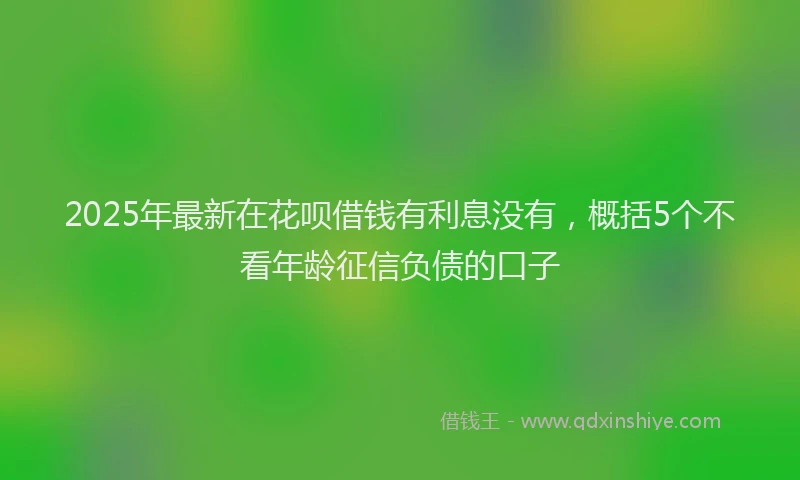 2025年最新在花呗借钱有利息没有，概括5个不看年龄征信负债的口子