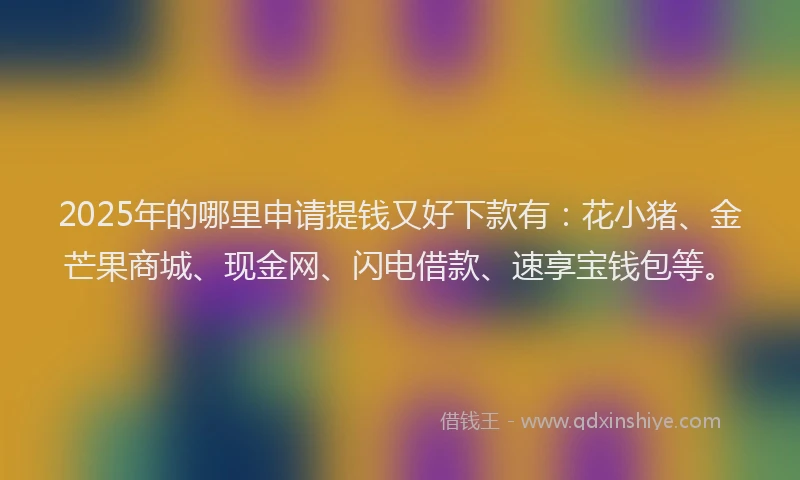 2025年的哪里申请提钱又好下款有：花小猪、金芒果商城、现金网、闪电借款、速享宝钱包等。