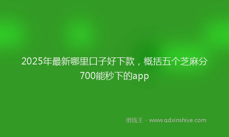 2025年最新哪里口子好下款，概括五个芝麻分700能秒下的app