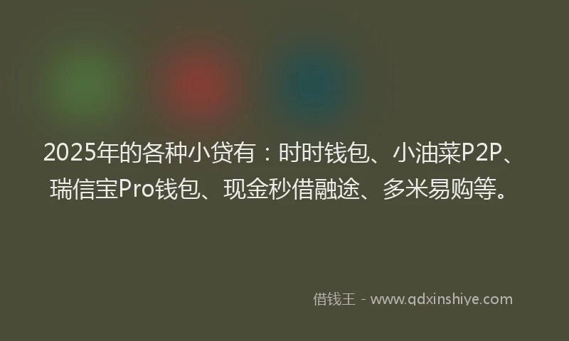 2025年的各种小贷有：时时钱包、小油菜P2P、瑞信宝Pro钱包、现金秒借融途、多米易购等。