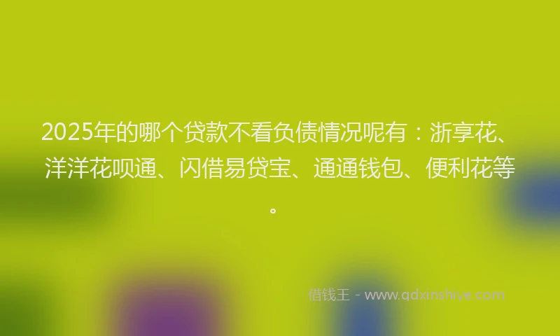 2025年的哪个贷款不看负债情况呢有：浙享花、洋洋花呗通、闪借易贷宝、通通钱包、便利花等。