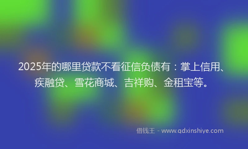 2025年的哪里贷款不看征信负债有：掌上信用、疾融贷、雪花商城、吉祥购、金租宝等。