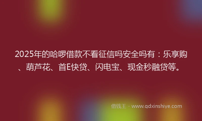 2025年的哈啰借款不看征信吗安全吗有：乐享购、葫芦花、首E快贷、闪电宝、现金秒融贷等。