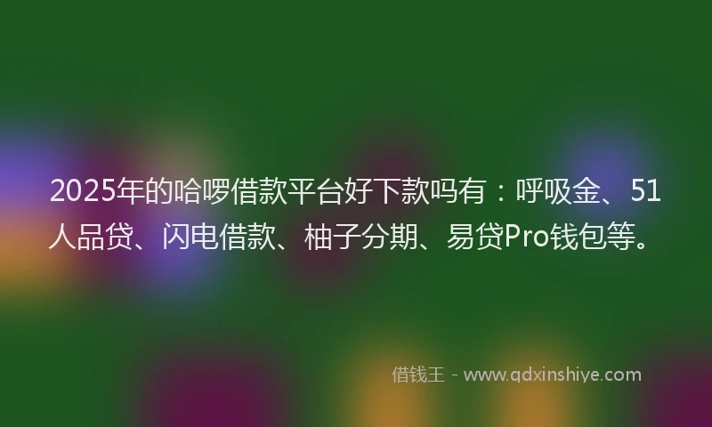 2025年的哈啰借款平台好下款吗有：呼吸金、51人品贷、闪电借款、柚子分期、易贷Pro钱包等。
