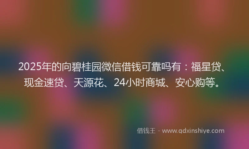 2025年的向碧桂园微信借钱可靠吗有：福星贷、现金速贷、天源花、24小时商城、安心购等。