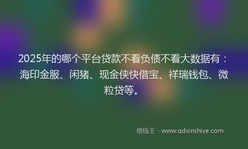 2025年的哪个平台贷款不看负债不看大数据有：海印金服、闲猪、现金侠快借宝、祥瑞钱包、微粒贷等。