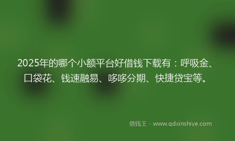 2025年的哪个小额平台好借钱下载有：呼吸金、口袋花、钱速融易、哆哆分期、快捷贷宝等。