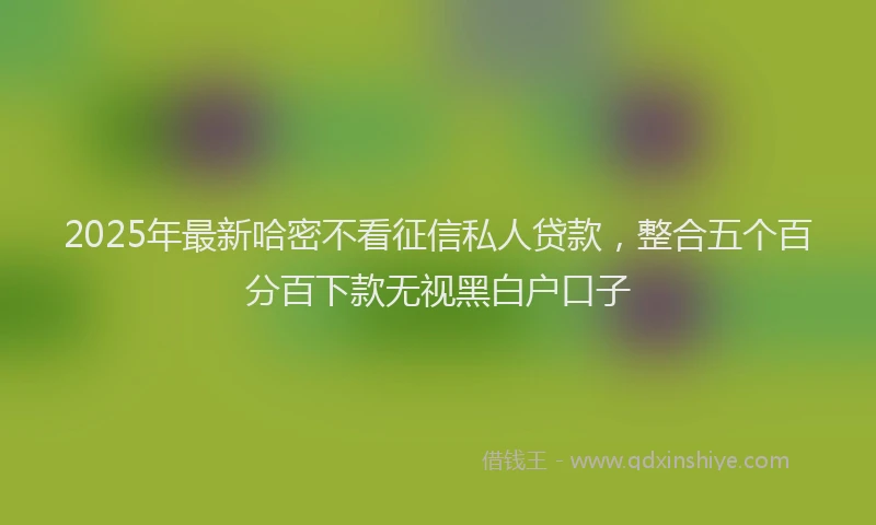 2025年最新哈密不看征信私人贷款，整合五个百分百下款无视黑白户口子