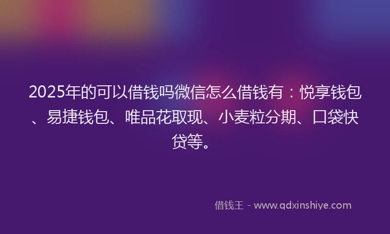 2025年的可以借钱吗微信怎么借钱有：悦享钱包、易捷钱包、唯品花取现、小麦粒分期、口袋快贷等。
