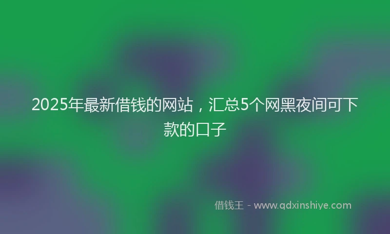 2025年最新借钱的网站，汇总5个网黑夜间可下款的口子