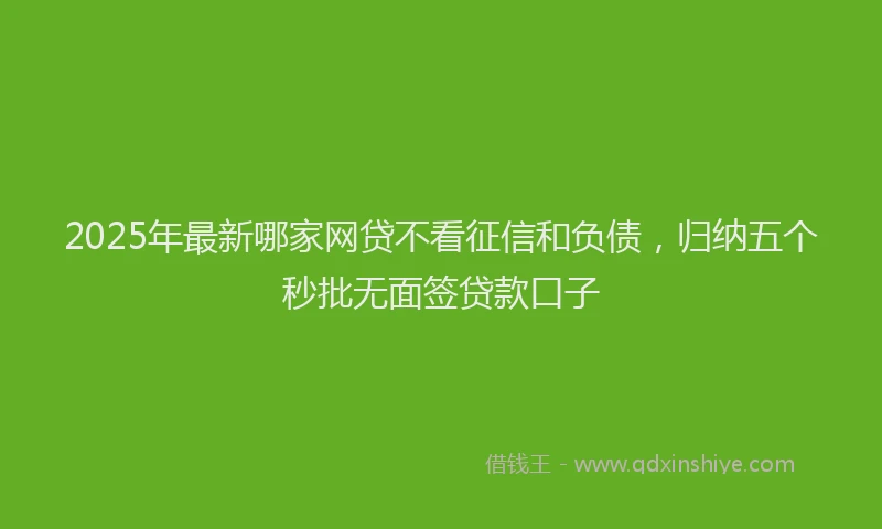 2025年最新哪家网贷不看征信和负债，归纳五个秒批无面签贷款口子