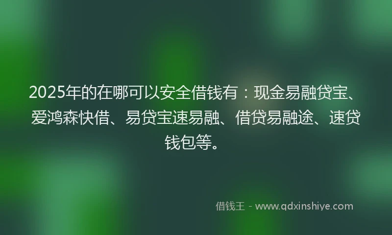 2025年的在哪可以安全借钱有：现金易融贷宝、爱鸿森快借、易贷宝速易融、借贷易融途、速贷钱包等。