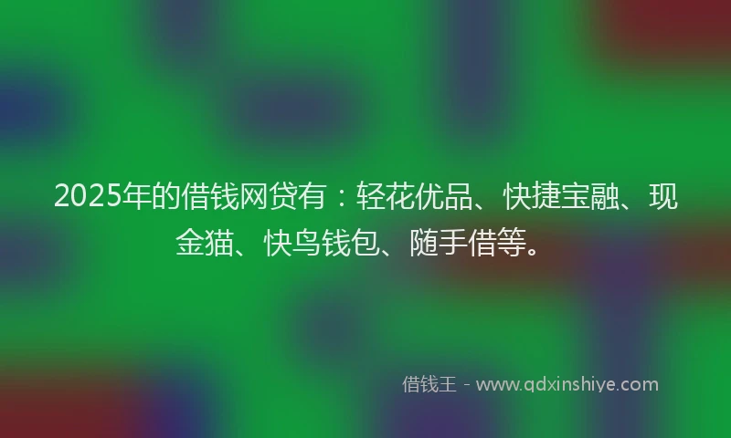 2025年的借钱网贷有：轻花优品、快捷宝融、现金猫、快鸟钱包、随手借等。